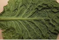 Photo Texture of Leaf Cabbage 0006